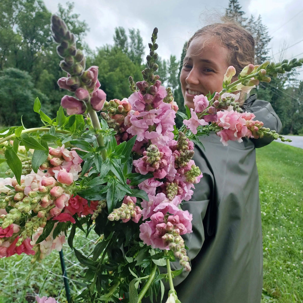 OTFF: Summer Flower Subscription: (July 2024- September 2024, 6 weeks, Bi weekly)