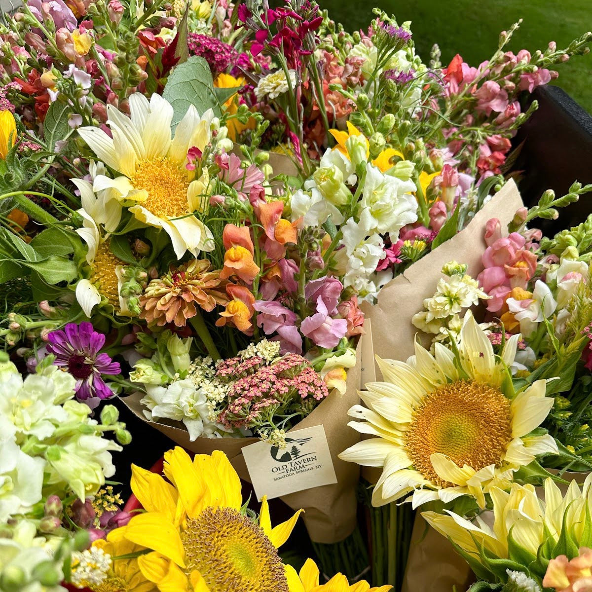 OTFF: Summer Flower Subscription: (July 2024- September 2024, 6 weeks, Bi weekly)
