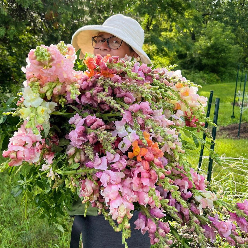OTFF: Summer Flower Subscription: (July 2024- September 2024, 6 weeks, Bi weekly)