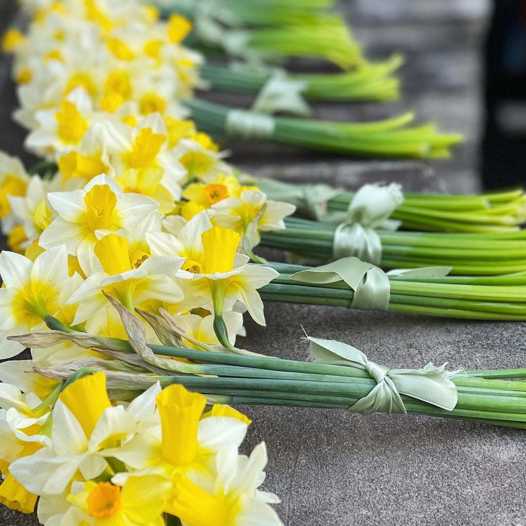 OTFF: Spring Flower Subscription: (May 2024, 4 weeks, weekly)