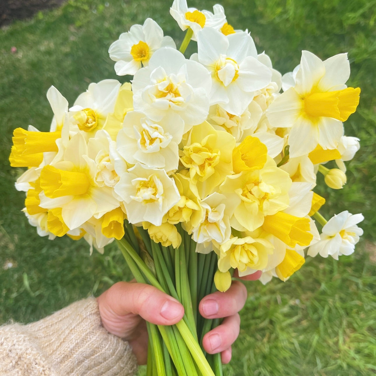 OTFF: Spring Flower Subscription: (May 2024, 4 weeks, weekly)