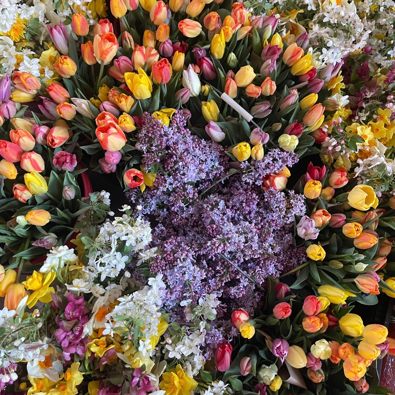 OTFF: Spring Flower Subscription: (May 2024, 4 weeks, weekly)