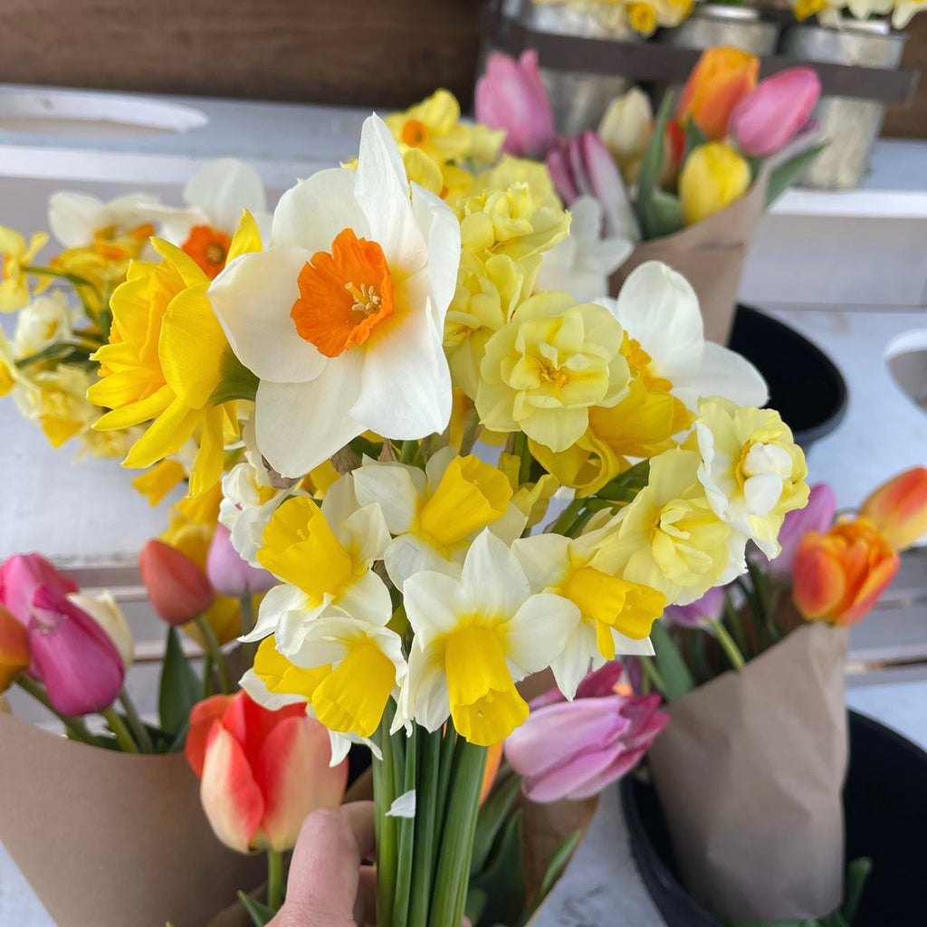 OTFF: Spring Flower Subscription: (May 2024, 4 weeks, weekly)
