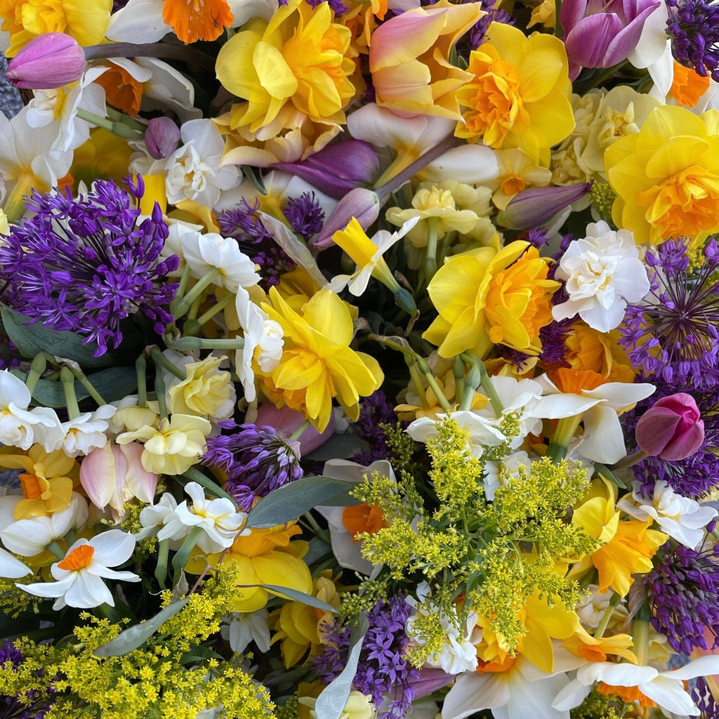 OTFF: Spring Flower Subscription: (May 2024, 4 weeks, weekly)
