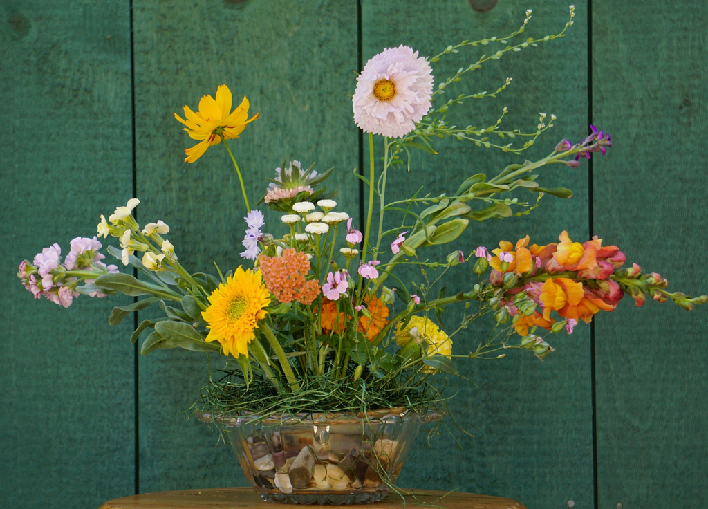 Thursday, July 11th: Floral Design, Horses & Wine Evening
